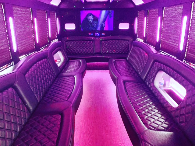 Party Bus Interior - The Executive - 20 Passengers